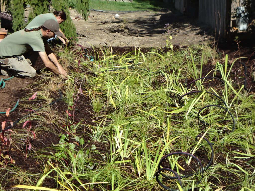 Sustainable landscape architecture Windridge