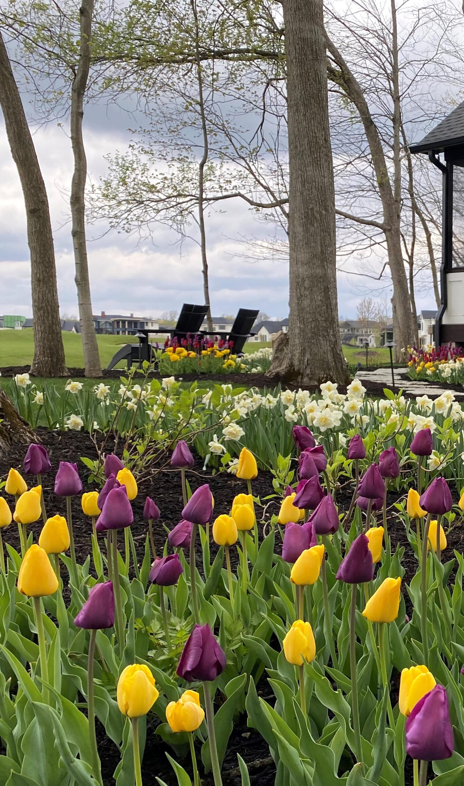 Residential Landscape Design